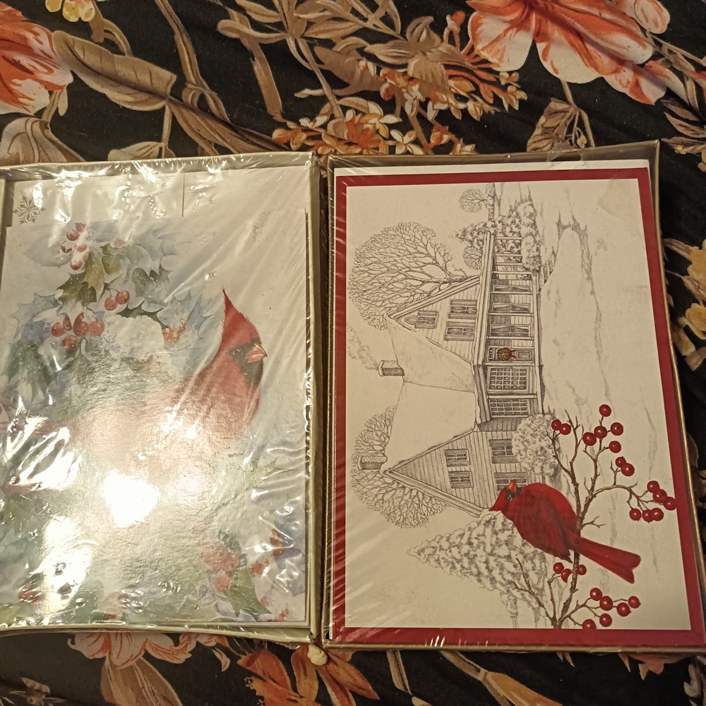 Cardinal Themed Holiday Cards Set